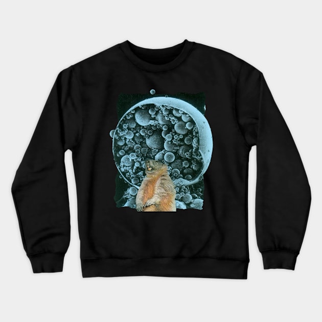 Eureka Crewneck Sweatshirt by PeterCampbell